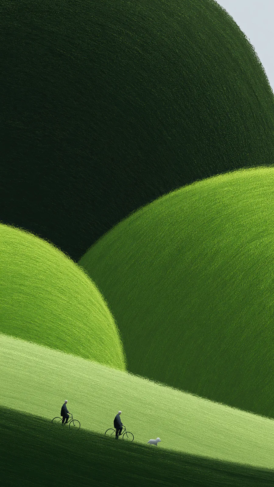 Green Hills & Little Companions — Commercial Display